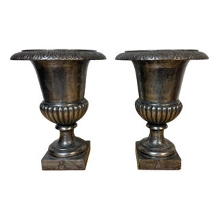 Pair of English Regency Silvered Cast Iron Egg-and-Dart Urns, Early 19th Century For Sale