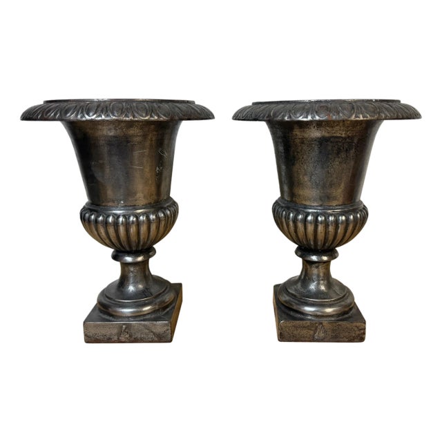 Pair of English Regency Silvered Cast Iron Egg-and-Dart Urns, Early 19th Century For Sale