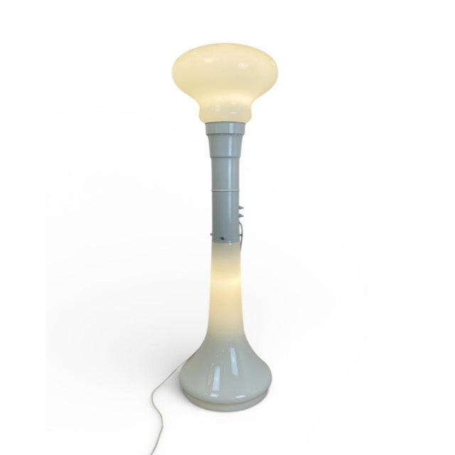 Birillo Murano Floor Lamp, 1970s For Sale - Image 15 of 15