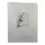1960s Dali the Magicians l'Illusionist Hand Signed Numbered Etching Surreal Art For Sale