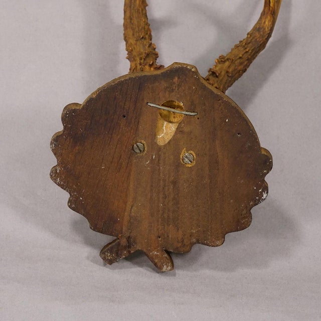 Antique Red Deer Trophy on Carved Plaque, Black Forest, Germany ca.1935 For Sale - Image 4 of 5