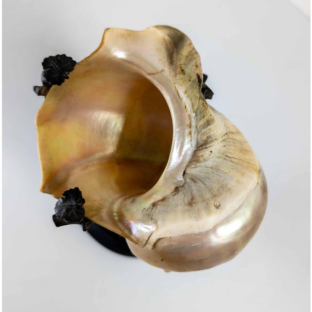 Metal 19th Century Continental European French or German Bronze With Turbo Shell, Kunstkammer Object For Sale - Image 7 of 14