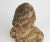 Sculpture Materials Plaster Bust by Jean Pavie, 1890-1910 For Sale - Image 7 of 13