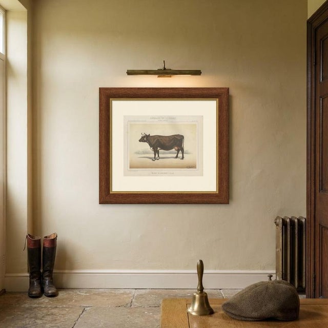 Paper Borie, Flemish Cow, French Cattle Breed, 1863, Chromolithograph For Sale - Image 7 of 9