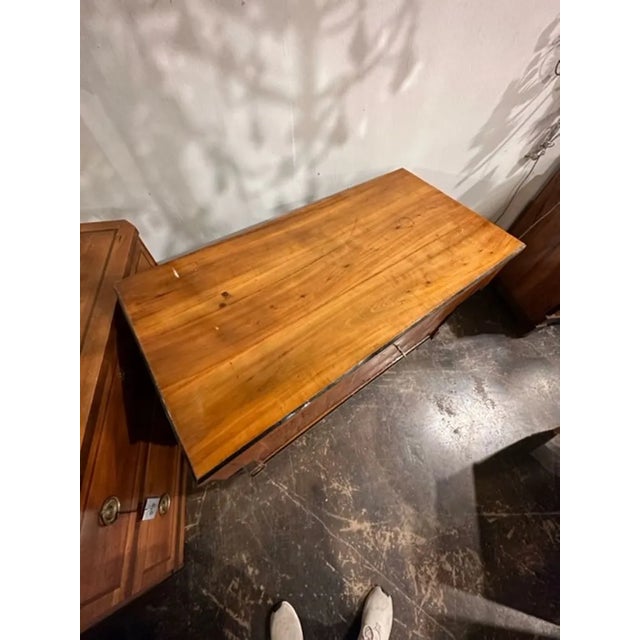 19th Century German Biedermeier Cherrywood and Ebonized Commode For Sale - Image 4 of 8