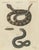 Bertuch, Rattlesnake with Its Rattle, 1805, Print For Sale - Image 12 of 12