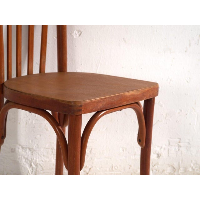 Bentwood Chairs in the style of Thonet, Central Europe, 1930, Set of 4 For Sale - Image 12 of 15