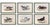 Rare Gould Pattern Gallery, 19th Century Hand-Colored Lithographs From John Gould’s Birds of Australia | Custom Mat Selection - Set of 6 For Sale - Image 4 of 18