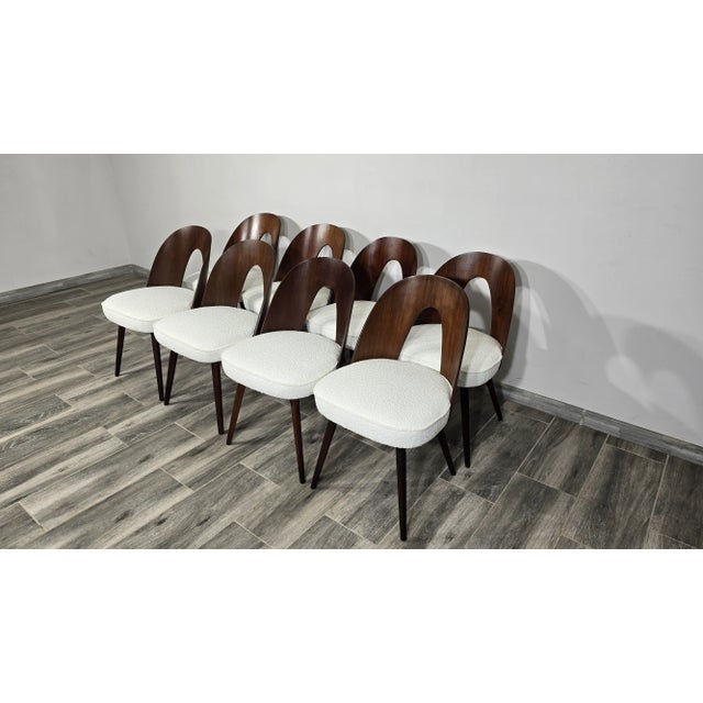 Brown Dining Chairs by Antonin Suman, 1960s, Set of 8 For Sale - Image 8 of 11