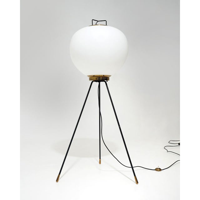 A sculptural floor lamp defined by its architectural presence and balanced proportions, reflecting the disciplined...