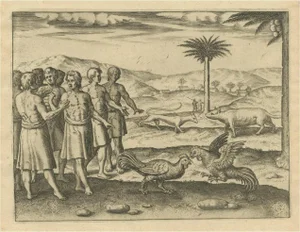 De Bry, The Cockfight of Java, 1601, Engraving