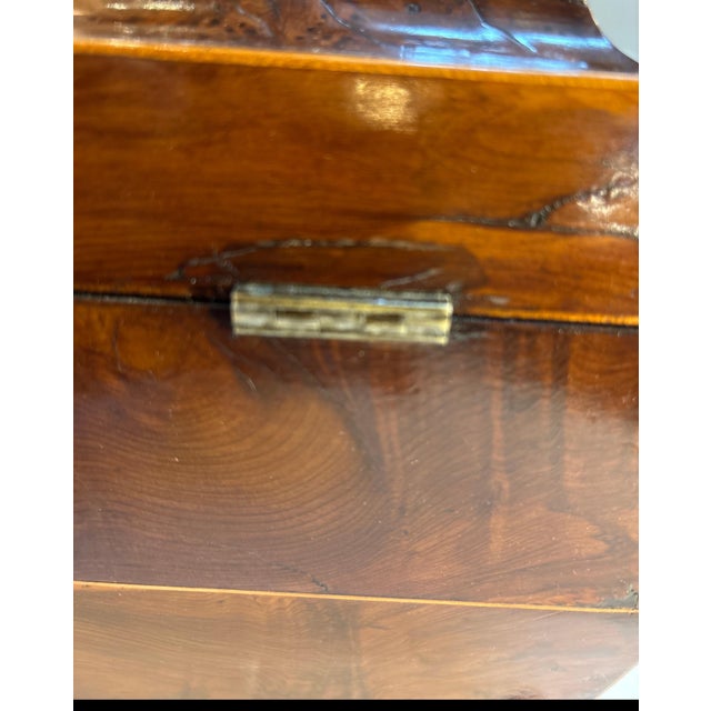 English Regency Period Amboyna Wood Tea Caddy For Sale - Image 10 of 10