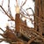 Brown Late 20th Century Six-Arm Found Twig Chandelier For Sale - Image 8 of 10