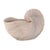 Kenneth Ludwig Chicago Nautilus Shell For Sale - Image 4 of 11
