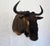 Wildebeest Mount Head Bust For Sale - Image 4 of 18