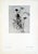 Gray Set of 12 Antique Botanical Photogravure Plates From the First Edition of Nature's Aid to Design (1907) For Sale - Image 8 of 13
