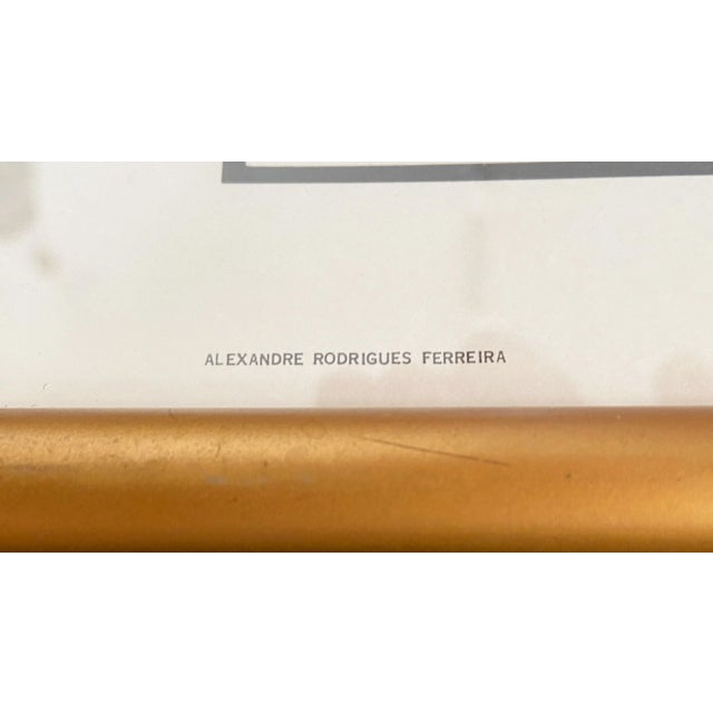 1960s Vintage 19th C Alexander Rodrigues Ferreira Rugendas Print Framed For Sale - Image 5 of 9