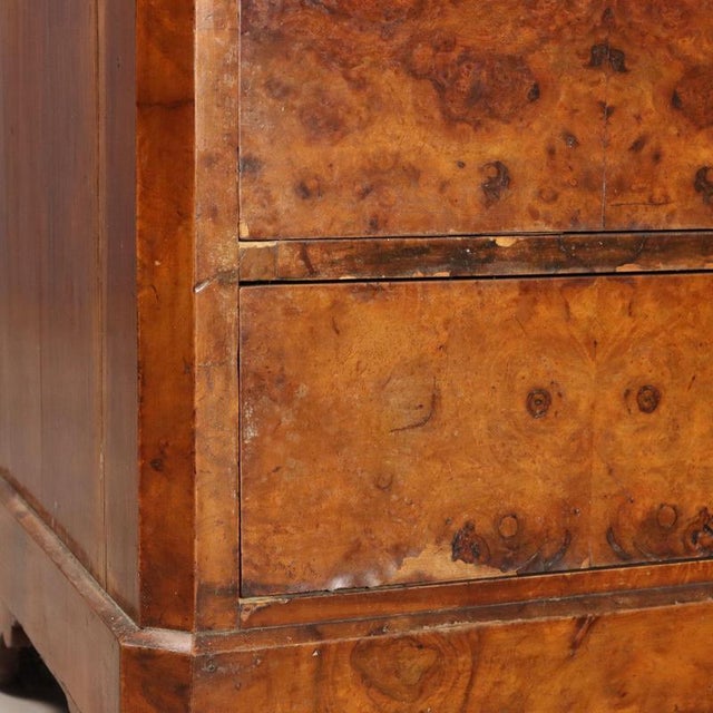 Biedermeier Secretaire in Feather and Walnut Burl For Sale - Image 12 of 16