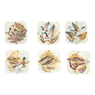 Illustrated Game Bird Plates - Set of Six For Sale