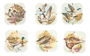 Illustrated Game Bird Plates - Set of Six