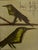 Bernard Buffet Bernard Buffet, Bird Composition, Lithograph, C. 1960s For Sale - Image 4 of 5