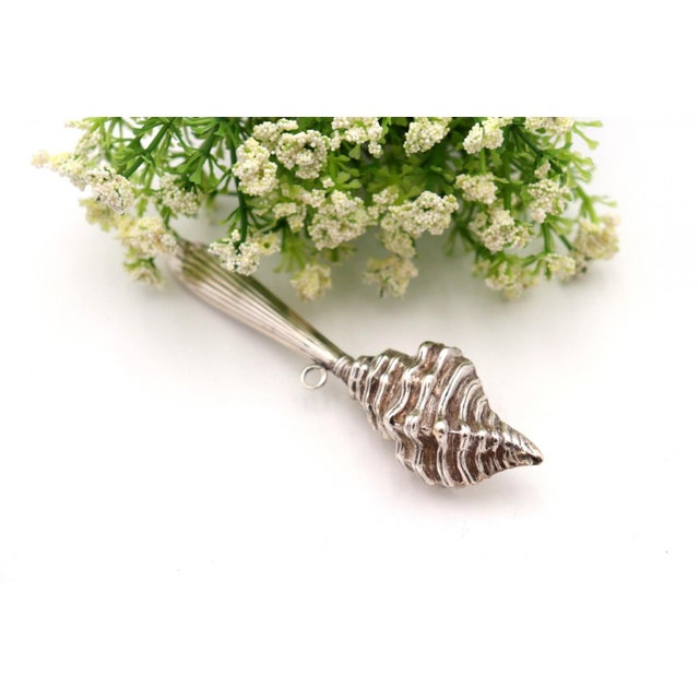 Silver Rock in the Shape of a Conch Shell For Sale - Image 4 of 5