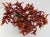 Vintage Chinese Polished Glass Leaves on Bonsai Tree For Sale In Nashville - Image 6 of 11