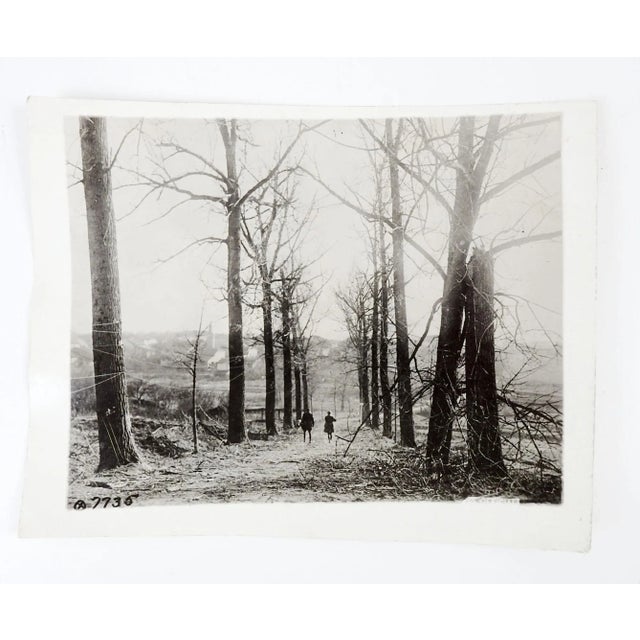 Vintage official US photograph WWI Europe. Showing a pair of soldiers walking down a road edged by leafless trees, trees...