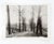 Vintage official US photograph WWI Europe. Showing a pair of soldiers walking down a road edged by leafless trees, trees...