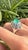 2020s Set in 18k Gold, Colombian Emerald, Multi Sapphires & Diamond Dome Cocktail Ring, Us Size 5.5 For Sale - Image 5 of 12