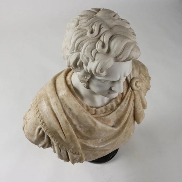 Beige Roman Emperor Bust in White Marble and Flowery Alabaster For Sale - Image 8 of 11