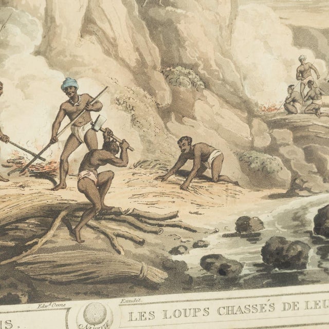 Edward Orme, Hunting Wolves in Their Dens, 1806, Engraving For Sale - Image 13 of 18