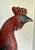 Here is a vintage folk art style rooster table lamp, featuring a wonderfully whimsical sculptural bird captured in a...