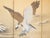 C. 1970s Painted Chinese Silk Screen "Bald Eagle" For Sale In Dallas - Image 6 of 18