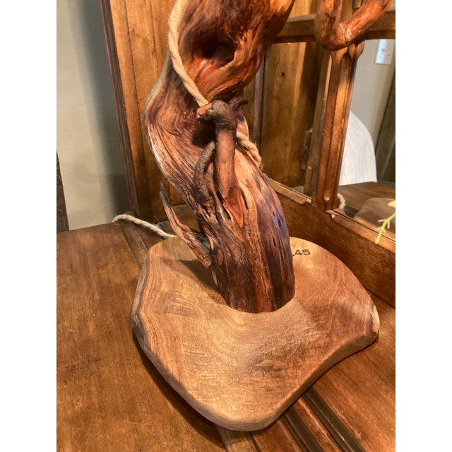 Tree Table Lamp With Live Edge Base and Root Upper. For Sale - Image 9 of 16