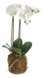 Example of Minimalism Greenery