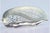 Metal Silver Fish Serving Spatula For Sale - Image 7 of 9