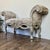 Late 20th Century Ornate Rococo Revival Silver Gilt Bench / Settee For Sale - Image 5 of 14