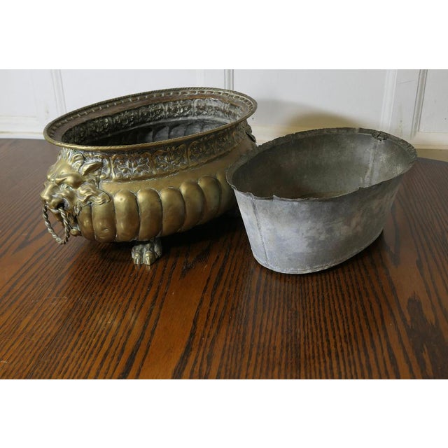 Goldenrod Gothic Brass Jardiniere with Lions Mask Handles and Liner For Sale - Image 8 of 9
