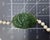 18K Yellow gold and carved jade pendant on cultured pearl strand of (74) white pearls, measuring 23.5" in length. GIA...
