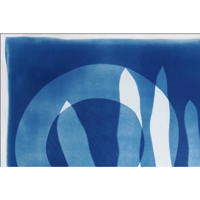 Blue 2025, Abstract Bold Marine Shapes, Unique Monotype Cyanotype of Watercolor Paper of "Marine Fauna" by Kind of Cyan For Sale - Image 8 of 8