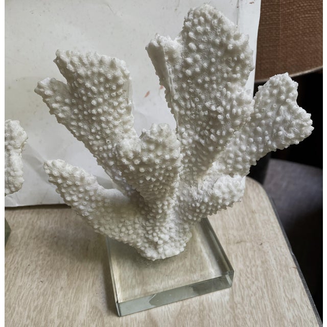 Pair Faux Coral White Thick Finger Mounted on Glass Decorative Objects For Sale - Image 9 of 12