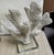 Pair Faux Coral White Thick Finger Mounted on Glass Decorative Objects For Sale - Image 9 of 12