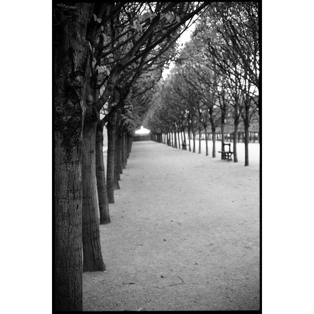 Paul Cooklin, Royal Palace Garden, Paris, Edition of 50 For Sale - Image 7 of 7