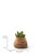 Tuber Planter in Wood by Haldane Martin for Indigenus For Sale - Image 14 of 16
