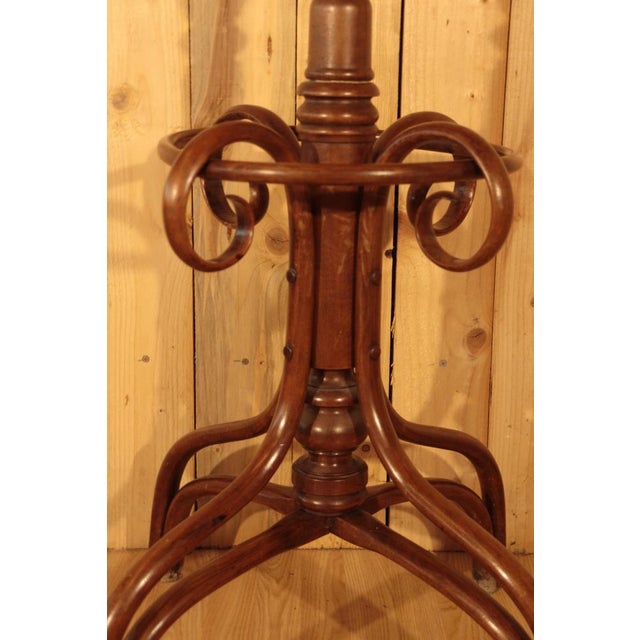 Parrot Coat Rack from Fischel, 1890 For Sale - Image 9 of 12
