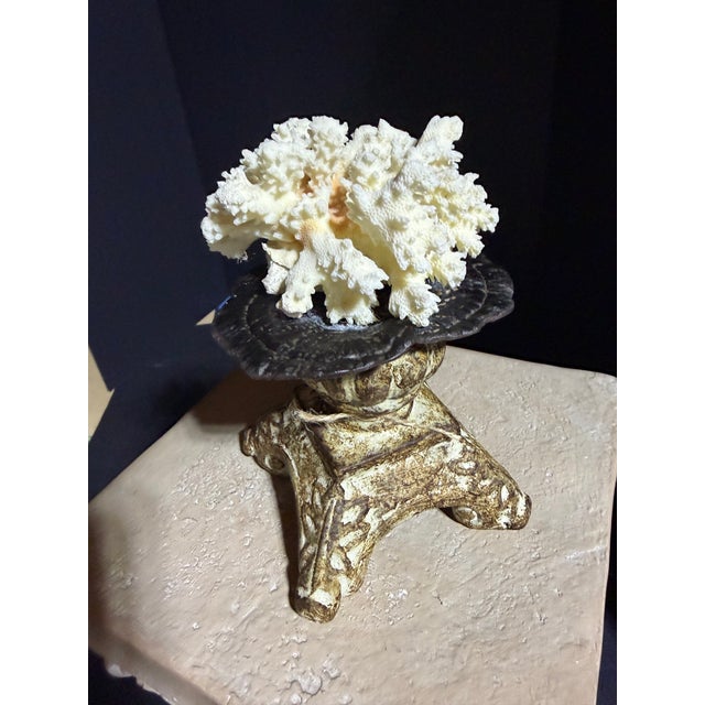 Coastal Celestial Meets the Sea Shell Decoration-Coastal Art Sculpture For Sale - Image 3 of 6