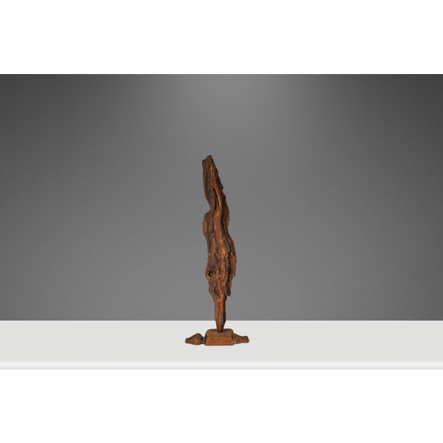 Signed Abstract Rustic Driftwood "Howling Wolf" Sculpture in Solid Beach Driftwood by Emlen Drayton, Usa, C. 2000s For Sale In Orlando - Image 6 of 15