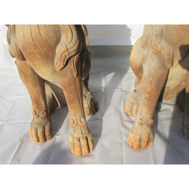 Miji Japanese Cedar Carved Buddhist Shi-Shi - a Pair For Sale - Image 4 of 12