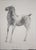 This work is one of the lithographs for the magazine "l'immagine", 1950. Editions consist in 50 copies numbered from 1 to...